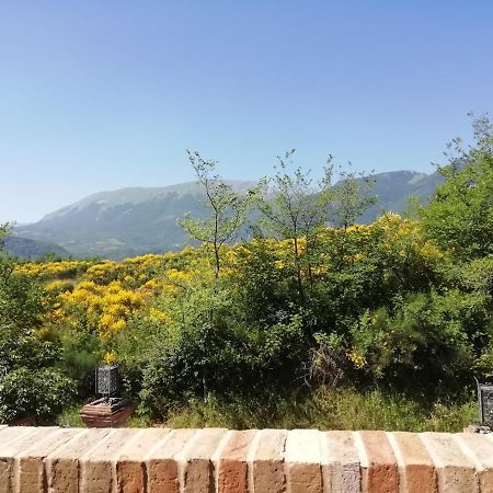 Luci Sui Monti Bed & Breakfast Sarnano Eksteriør bilde