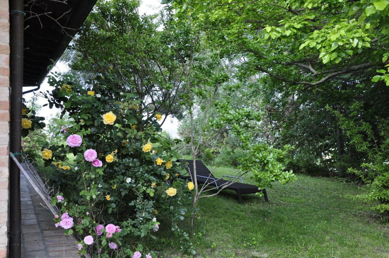 Luci Sui Monti Bed & Breakfast Sarnano Eksteriør bilde