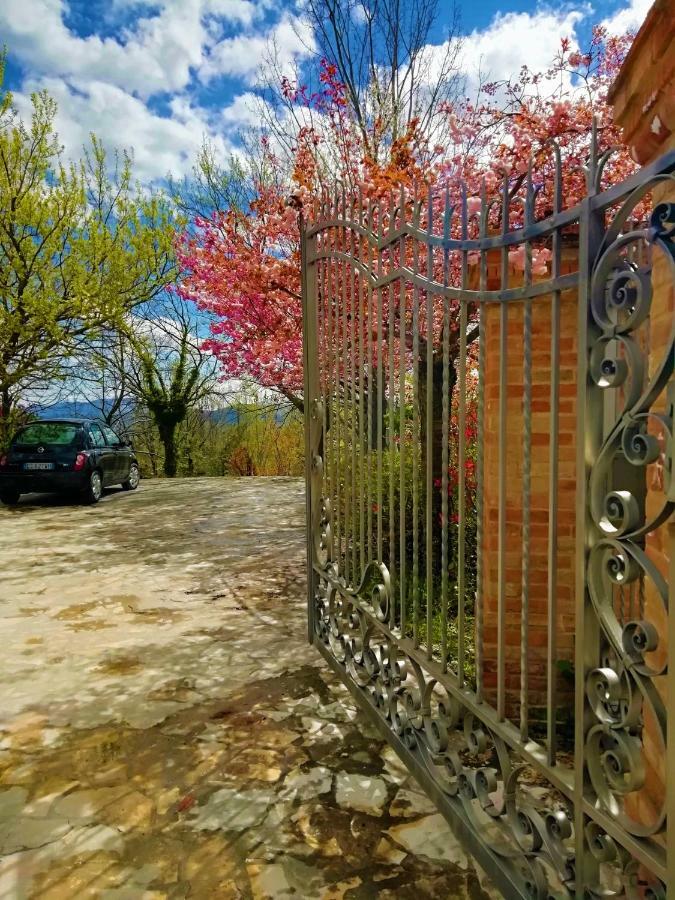 Luci Sui Monti Bed & Breakfast Sarnano Eksteriør bilde